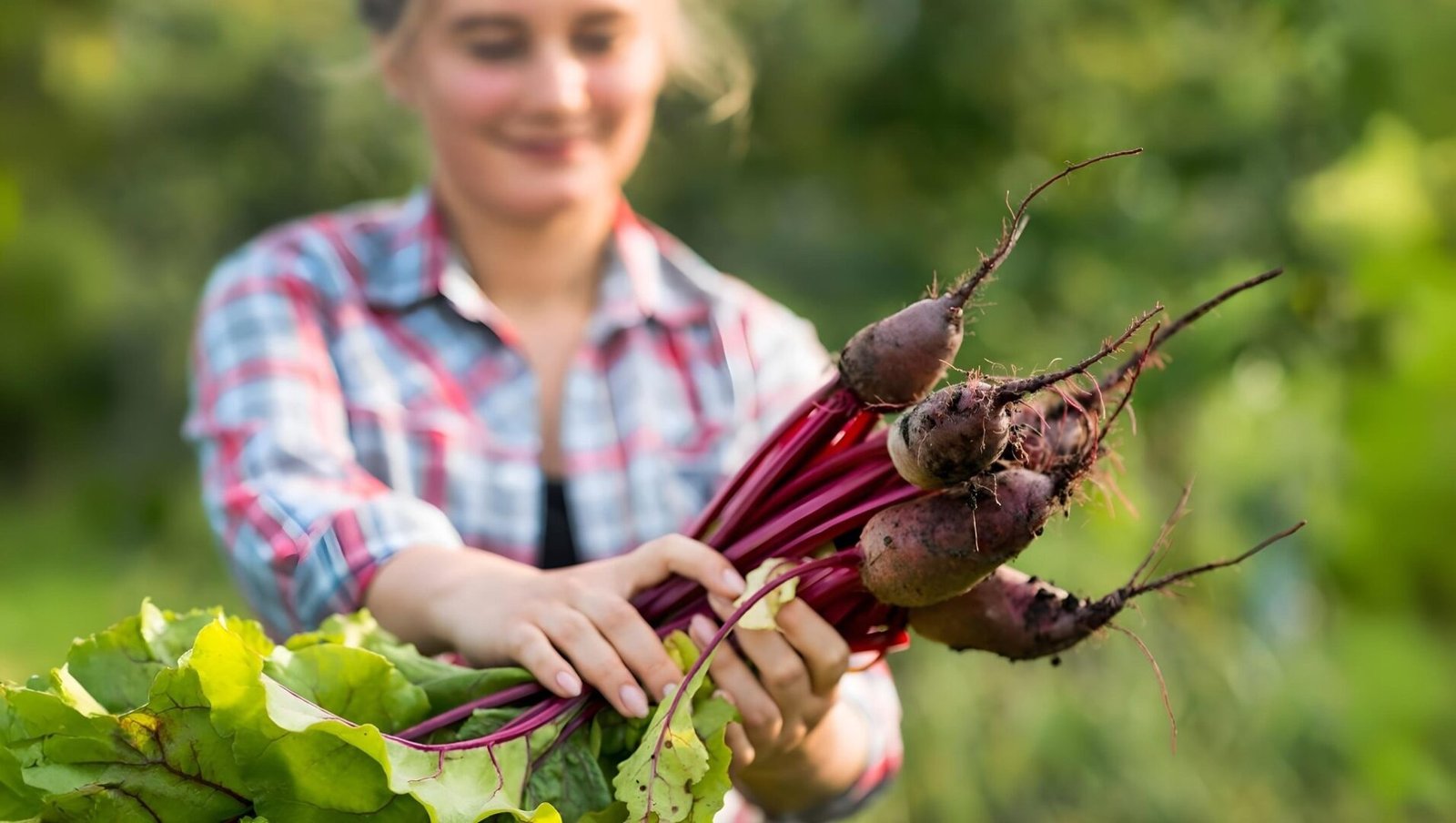 Beetroot Benefits