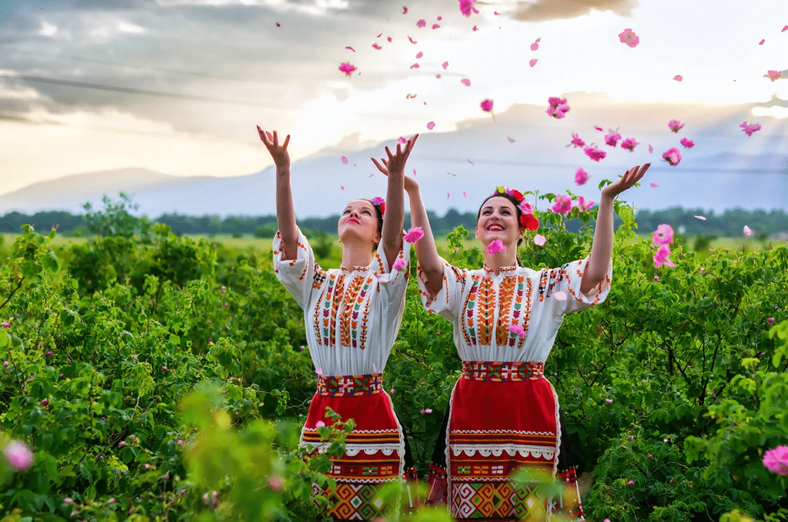 The Festival of Roses