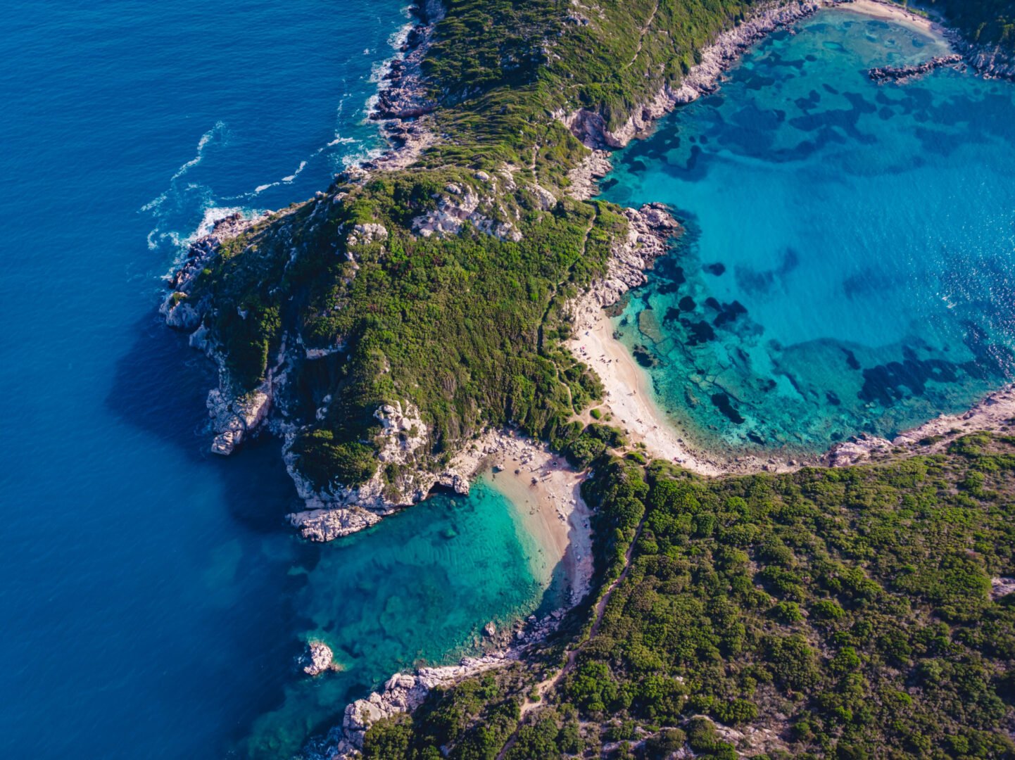 Mediterranean