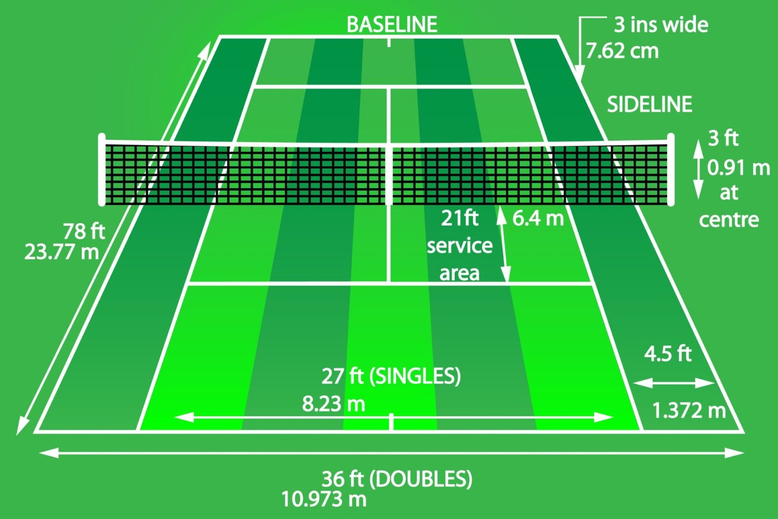 Court Dimensions