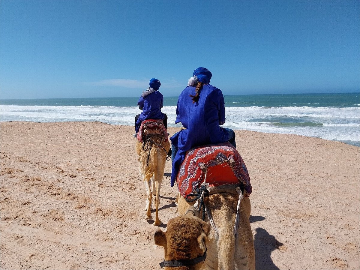 dakhla CAMELS